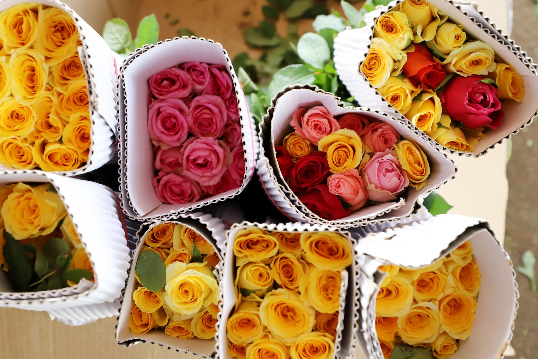 Top view of assorted fresh rose bouquets bundled in wrapping paper