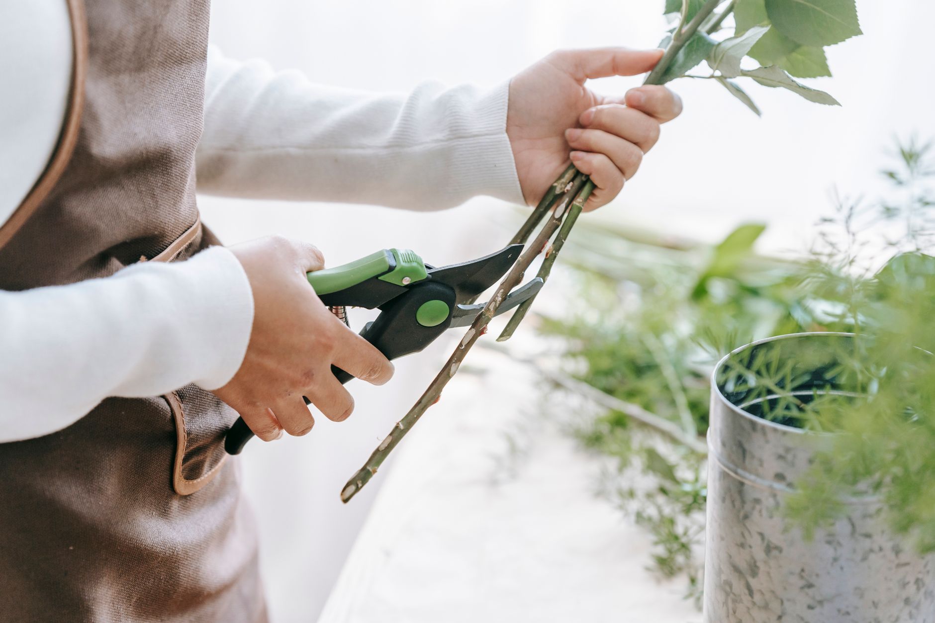 Florist trimming fresh flower stems at an angle before placing them in water